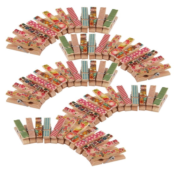 TISHITA 100 Pieces Assorted Painting Mini Wooden Clips Decorative Clips Clothes Pegs Decorative Clips 10x35mm