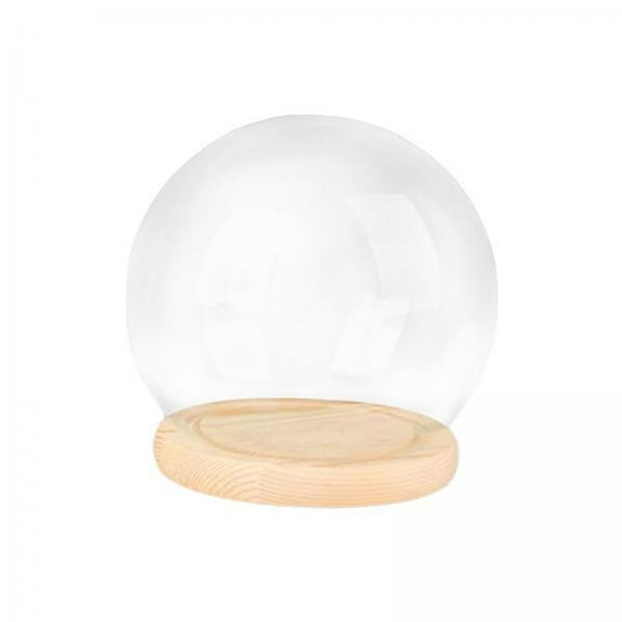 TISHITA 2xDisplay Dome with Base Transparent Showcase Glass Cover Container Glass Dome 12cm Wood Base