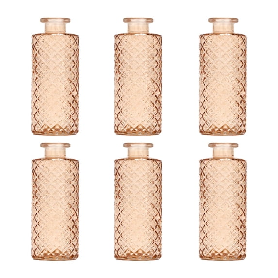 TISHITA 6x Glass Bud Vases Flower Arrangement Display for Office Living Room Kitchen Brown