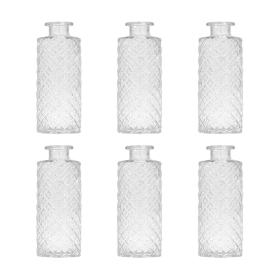 TISHITA 6x Glass Bud Vases Flower Arrangement Display for Office Living Room Kitchen Transparent