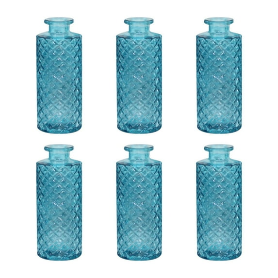 TISHITA 6x Glass Bud Vases Flower Arrangement Display for Office Living Room Kitchen