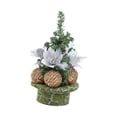 thumbnail image 1 of TISHITA Artificial Tabletop Christmas Tree Mini Xmas Tree Desk Christmas Tree Potted Plants for Party, Shelf, Indoor,Holiday,Birthday Argent, 1 of 8