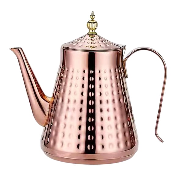 TISHITA Stainless Steel Tea Kettle Blooming Loose Leaf Tea Maker Removable Infuser Water Boiler Coffee Server for Home Indoor Outdoor 1.7L