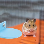 TITINICE 4 Pcs Sky Wooden Pet Jump Platform, Small Animal Stand and Bird Perch for Cages, Hamsters, Parrots