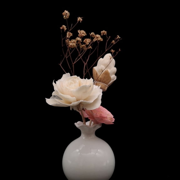 TITINICE 6Pcs White Peony Diffused Flowers Natural Floral Diffusers for Interior Decoration