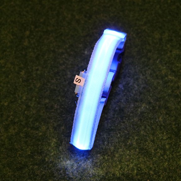 TITINICE Durable Blue LED Pet Collar Adjustable Luminous Dog Collar for Outdoor Walking