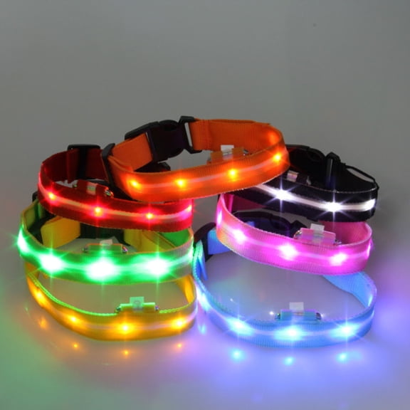 TITINICE Orange Lighted Pet Collar with Steady and Flash Modes for Evening Walks and Camping