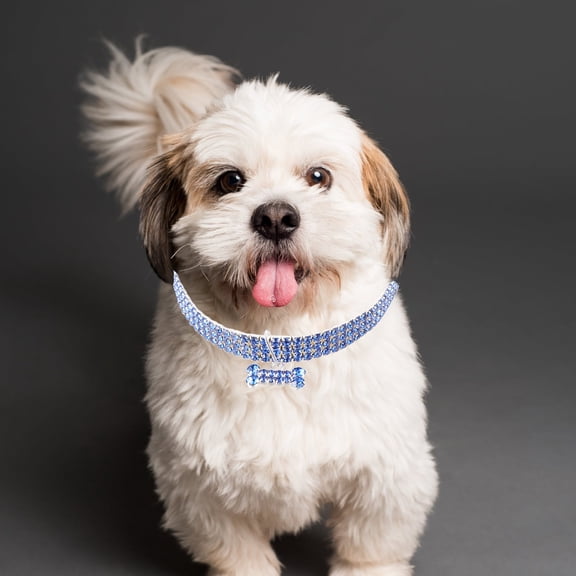 TITINICE Stylish Blue Rhinestone Dog Collar with Adjustable Buckle Perfect for Pet Sports and Outdoor Use