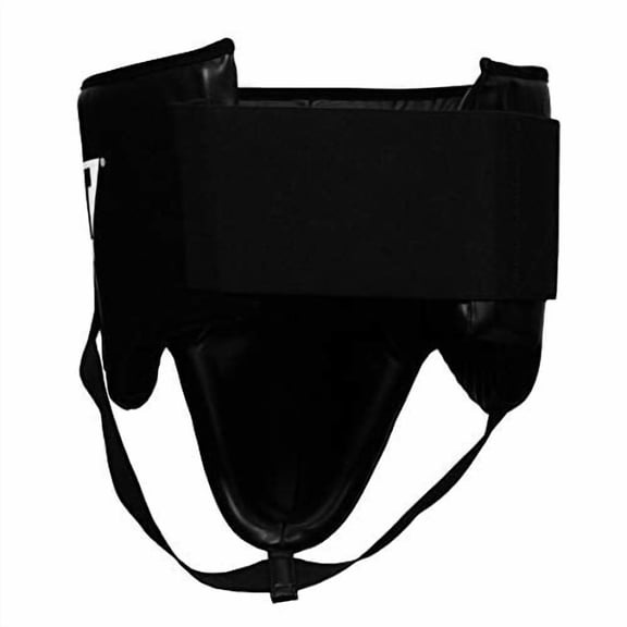 TITLE Boxing Armor No-Foul Protector 2.0 - Groin Guard for Men, MMA and Muay Thai Equipment
