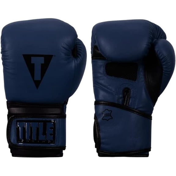 TITLE Boxing Dauntless Training Gloves - Boxing Gloves, Boxing Training Gloves, MMA Gloves Oz, Training Gloves, Kickboxing Gloves, Punching Bag Gloves, Sparring Gloves