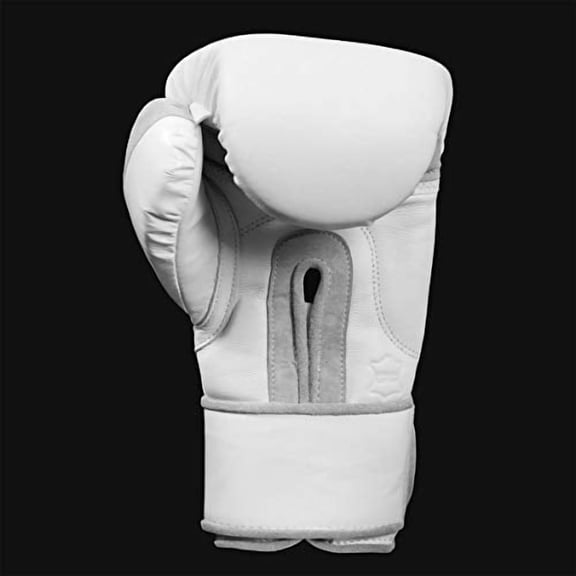 TITLE Boxing White Training Gloves 2.0 - Boxing Gloves, Boxing Training Gloves, MMA Gloves, Oz Training Gloves, Kickboxing Gloves, Punching Bag Gloves, Sparring Gloves
