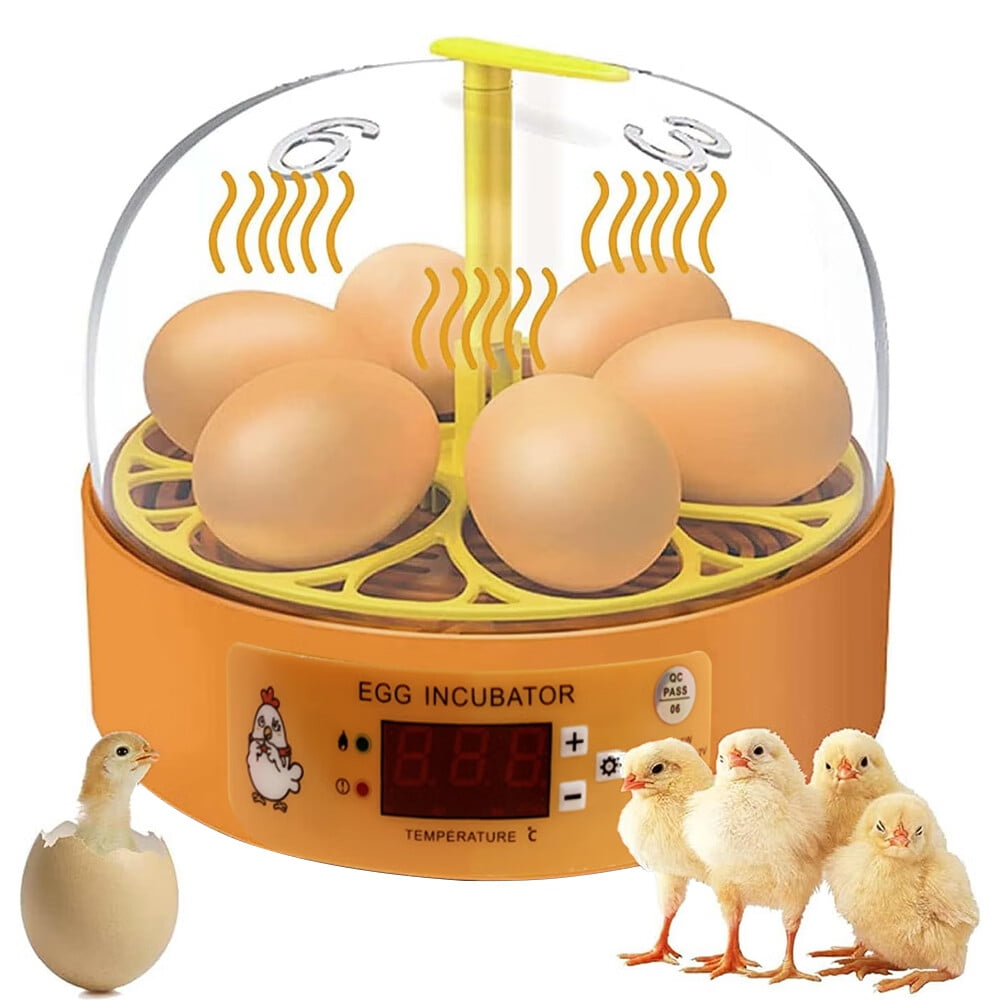 TITOUMI Egg Incubator, Incubating 6 Eggs, with Automatic Turning, LED