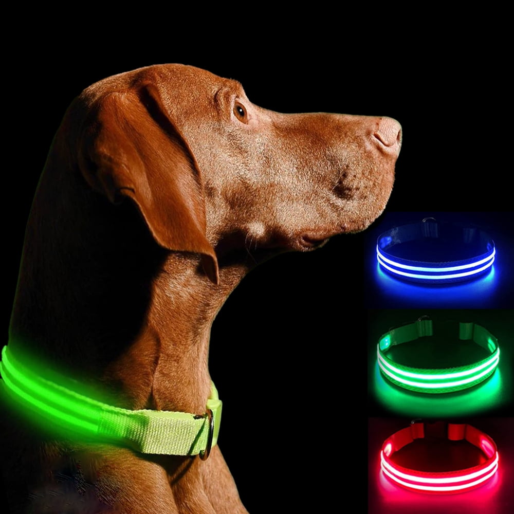 TITOUMI Light Up Dog Collar LED Dog Collars Flashing Rechargeable and Safety Night Glowing Dog