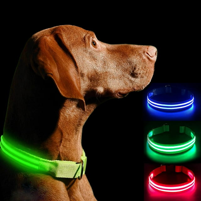 TITOUMI Light Up Dog Collar LED Dog Collars Flashing Rechargeable and