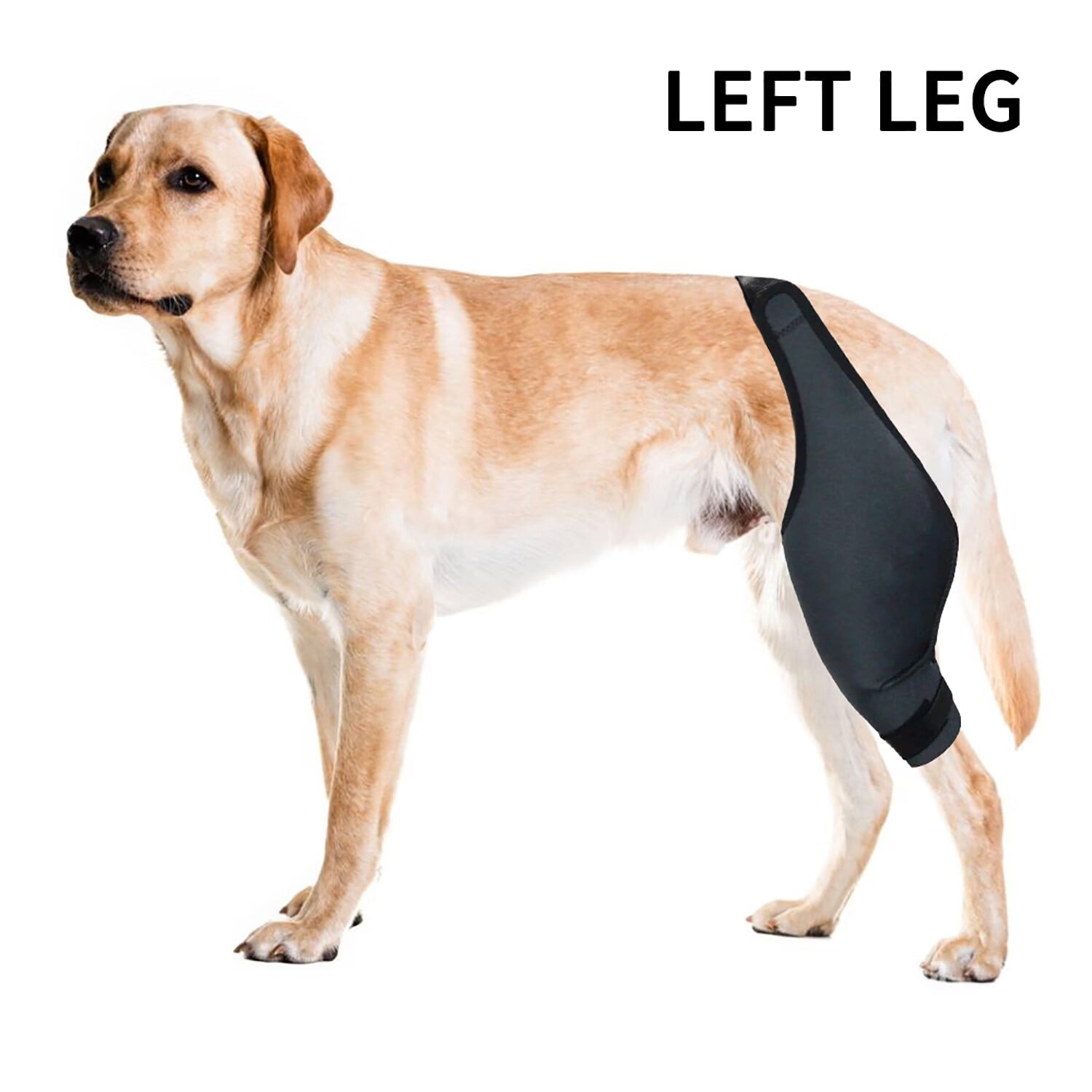 TITOUMI Protective Cover For Hip And Thigh Wounds For Dogs, For Recovery, Ankle Brace With Knee