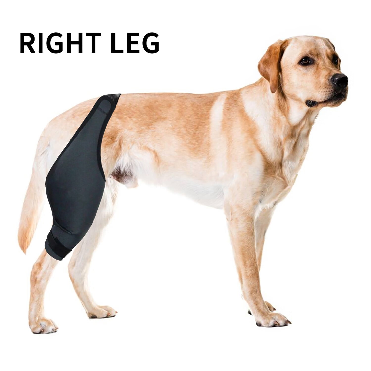 TITOUMI Protective Cover For Hip And Thigh Wounds For Dogs, For