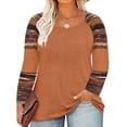thumbnail image 1 of TIYOMI Ladies Plus Size 4X Khaki Brown Tunic Long Sleeve Raglan V Neck Color Block Tie Dye Stripe Shirt Loose Fit Tops Autumn Fall Winter Blouses 4XL 24W 26W, 1 of 2