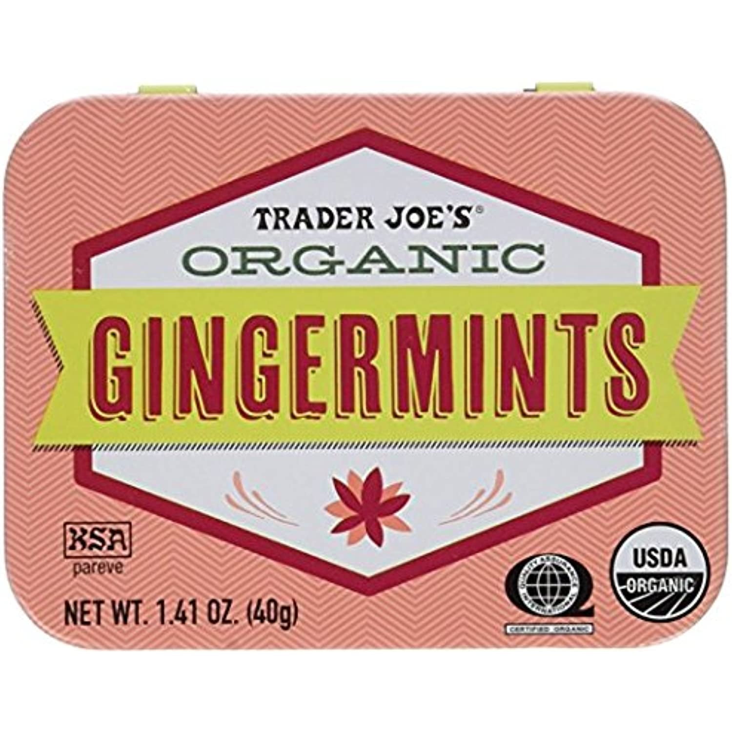 TJ Organic Pastilles Mints 40G (Gingermints, 6 Pack) - Walmart.com