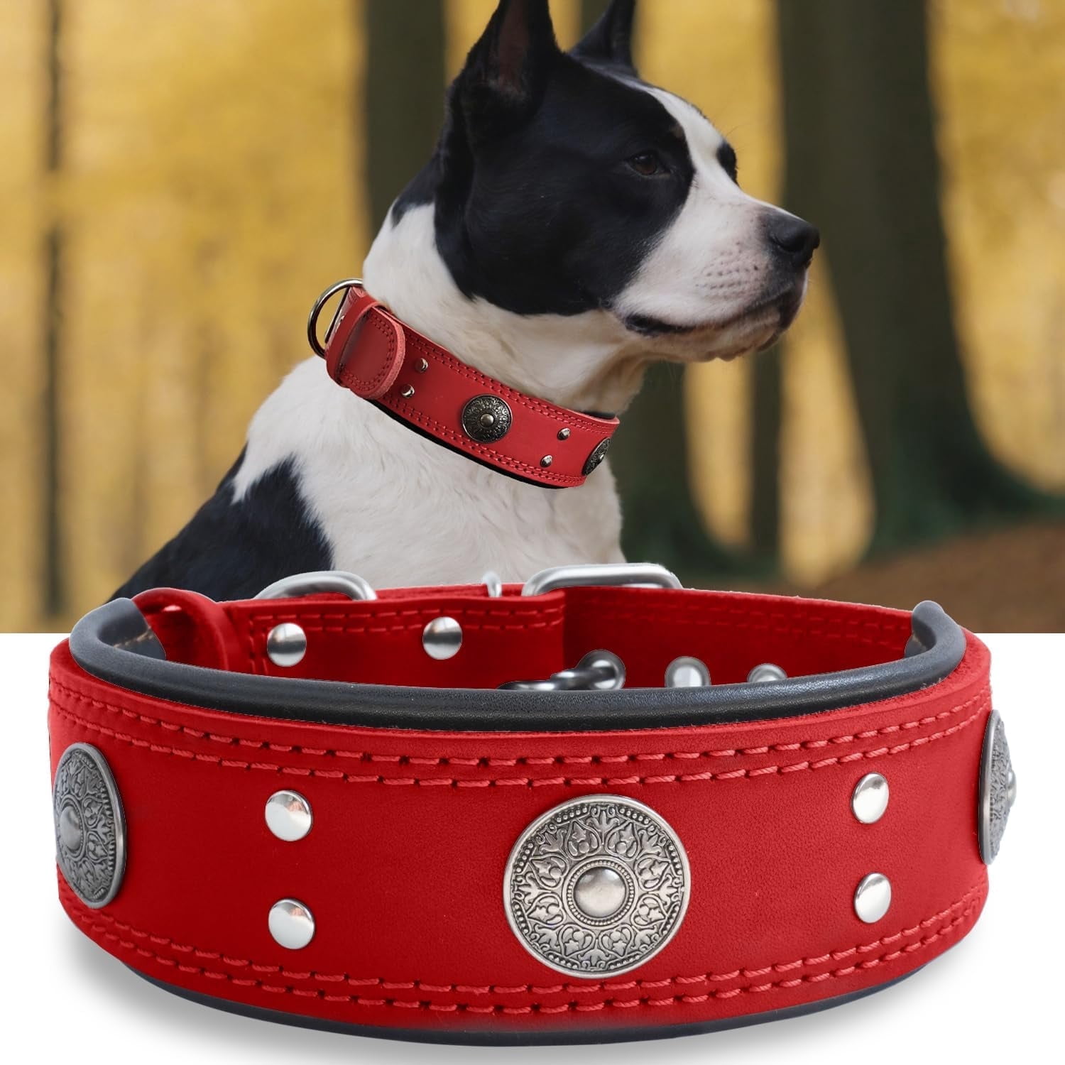 TJOUL Leather Dog Collar, 2 inches Wide Heavy Duty Genuine Leather Collars, Handmade, Soft, and Luxury, Eye-catching Best Choice for Large and Medium Breed Dogs 22.5-26.5 inches