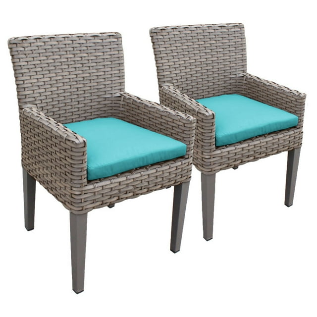 2 Oasis Dining Chairs With Arms in Aruba
