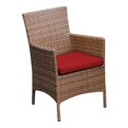 thumbnail image 1 of TKC Laguna Dining Chairs with Arms, 2 Piece, 1 of 1