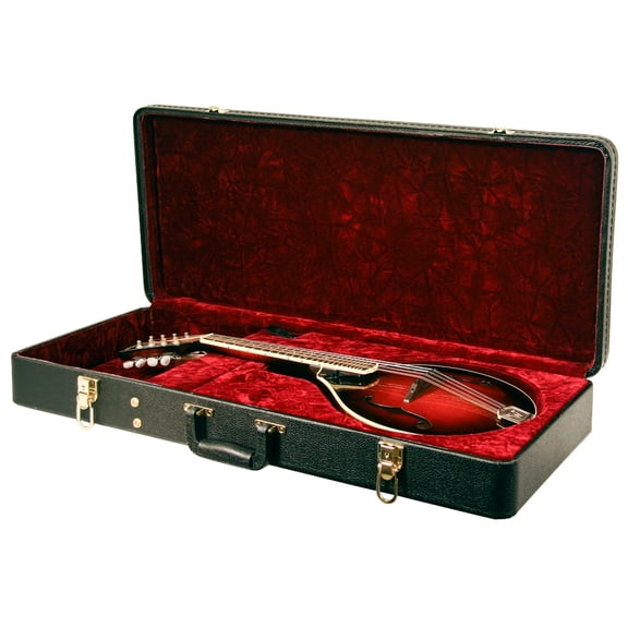 TKL Professional Series Arch Top Oblong A-Style Mandolin Case