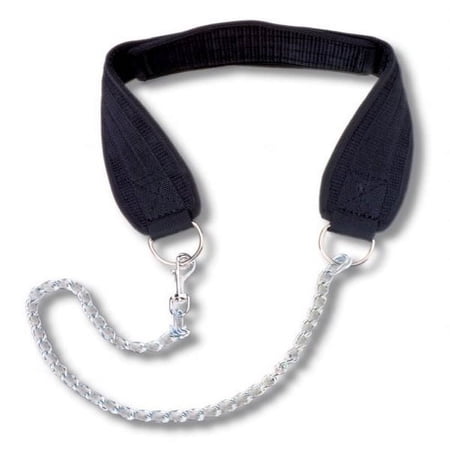 TKO Dip Belt