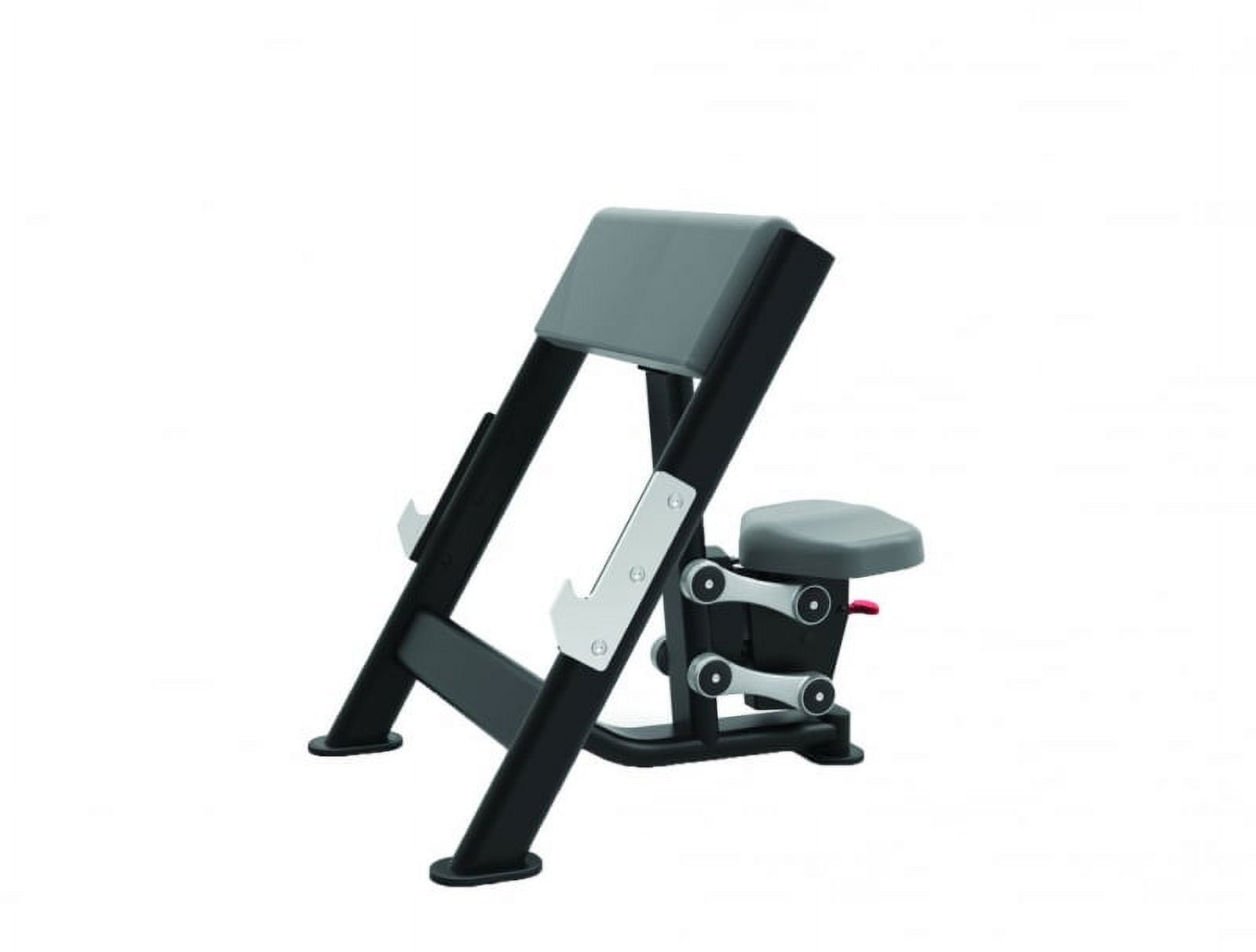Preacher curl bench walmart new arrivals