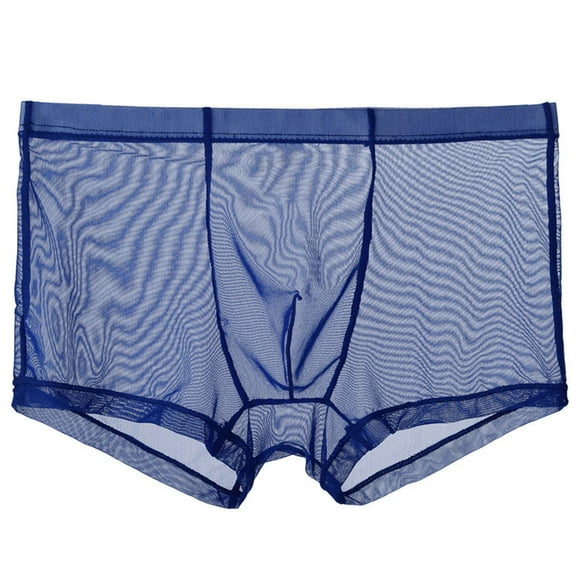 TMOYZQ Mens Sheer Mesh Boxer Briefs Breathable Ultra Thin Bulge Pouch Underwear Low Rise Stretch Boxers Cooling Trunks Tagless Underpants