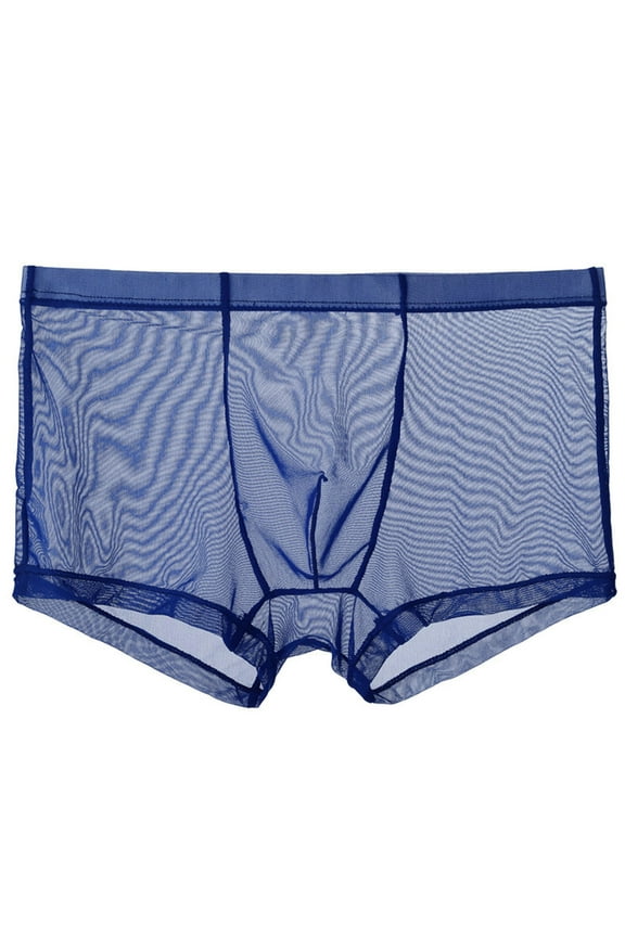 Mens Sheer Mesh Boxer Briefs Breathable Ultra Thin Bulge Pouch Underwear Low Rise Stretch Boxers Cooling Trunks Tagless Underpants