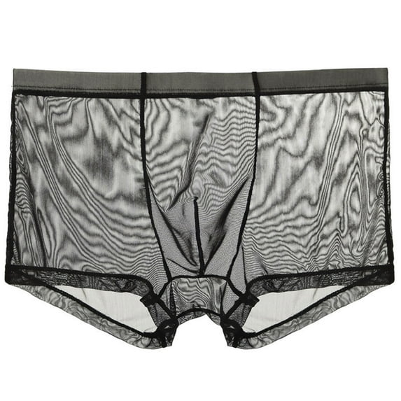 TMOYZQ Mens Sheer Mesh Boxer Briefs Breathable Ultra Thin Bulge Pouch Underwear Low Rise Stretch Boxers Cooling Trunks Tagless Underpants