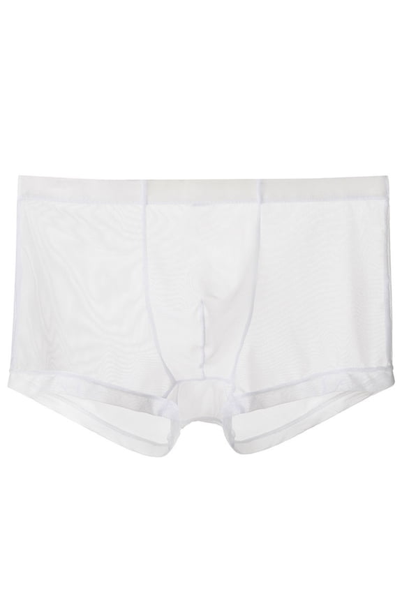 Mens Sheer Mesh Boxer Briefs Breathable Ultra Thin Bulge Pouch Underwear Low Rise Stretch Boxers Cooling Trunks Tagless Underpants