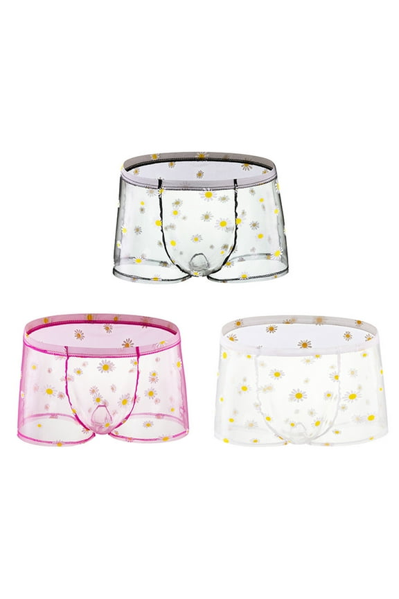 3 PC Men's Underwear Ice Silk Printed Boxer Brief See-Through Transparent Briefs