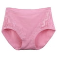 thumbnail image 1 of TMOYZQ Women's Plus Size Underwear Lace Embroidery High Waisted Tummy Control No Show Panties Full Coverage Stretch Soft Briefs, 1 of 4