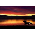 thumbnail image 1 of Horse at Sunset Edible Image Icing Cake Topper for Quarter Sheet Cake, by TNCT, 1 of 4