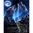thumbnail image 1 of Wolves Howling Edible Image Icing Cake Topper for Quarter Sheet Cake, by TNCT, 1 of 4