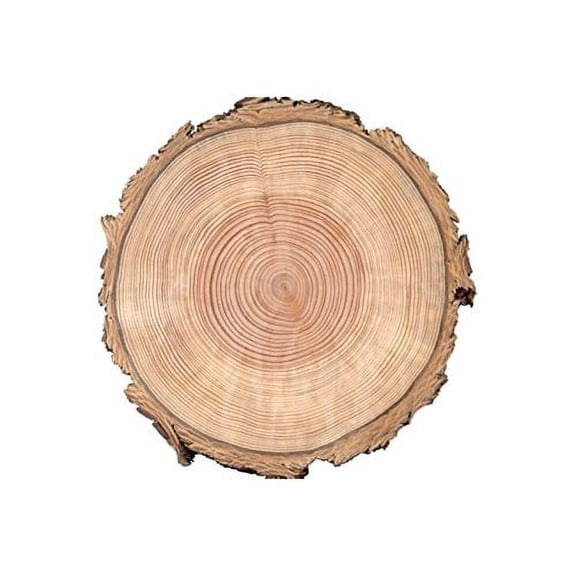 Wood Tree Rings Edible Image Icing Cake Topper for Quarter Sheet Cake, by TNCT
