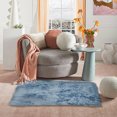 thumbnail image 1 of TNDBKQWR Carpets and Rugs Clearance Fuzzy Area Rug Soft Fluffy Rug Plush Rugs Rugs for Living Room Runner for Bedroom Floor, 60x160cm, 1 of 4