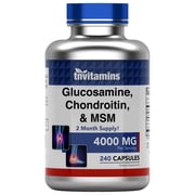 TNVitamins Glucosamine, Chondroitin, & MSM (4000 mg x 240 Capsules) for Men & Women | Joint Support Supplement*