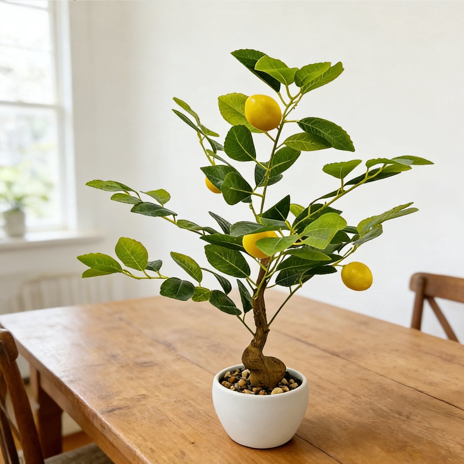 real fiddle leaf fig tree Buy Ficus Lyrata Fiddle Leaf Fig main image 1