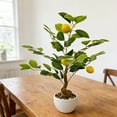 thumbnail image 1 of TOARTi Lemon Bonsai Tree Fake Fruit Citrus Plant With Plastic Pot For Home Office Indoor Tabletop Desk Kitchen Living Room 35x45 cm, 1 of 11