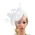 thumbnail image 1 of TODOZO Fascinators Hat Flower Mesh Ribbons Feathers On A Headband and A Clip Tea Party Headwear for Girls and Women Fascinator Hat Flower Feather Mesh Tea Party Hairband for Women Wh1 One Size, 1 of 7