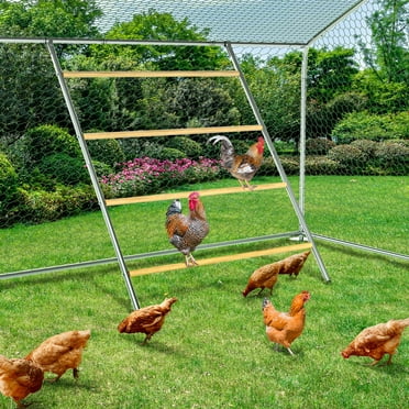 TOETOL Chicken Perch Chicken Roost Chicken Wooden Stand Trainning Perch Rooting Bar Chicken Swing for Hens Chicken Toys for Chicken Coop Accessories