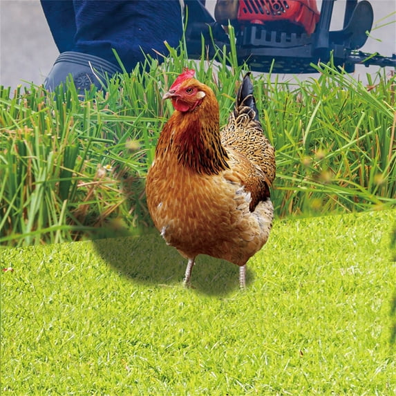 TOFOTL Realistic Acrylic Chicken Statues Garden Decor