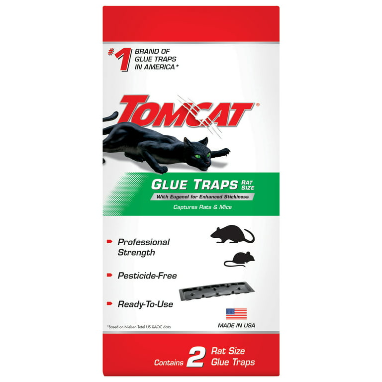 Tomcat Glue Traps Mouse Size with Eugenol for Enhanced Stickiness for Mice,  Cockroaches, and Spiders, 6 Traps