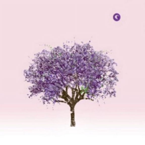 Tomorrow Morning Eels (CD)