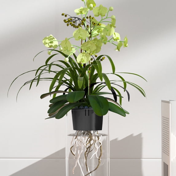 TONGYIJIA Hydroponic Planter Basket, Transparent Vase with Root Holder, Water Propagation Station For Plants, Glass Flower Vase For Home Garden, Self Watering Planter