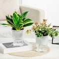 thumbnail image 1 of TONGYIJIA Self Watering Planter, Clear Hydroponic Vase, Glass Propagation Vase For Bamboo, Soil and Water Planter Pot For Home, Plants Growing Bottle For Herbs, 1 of 6