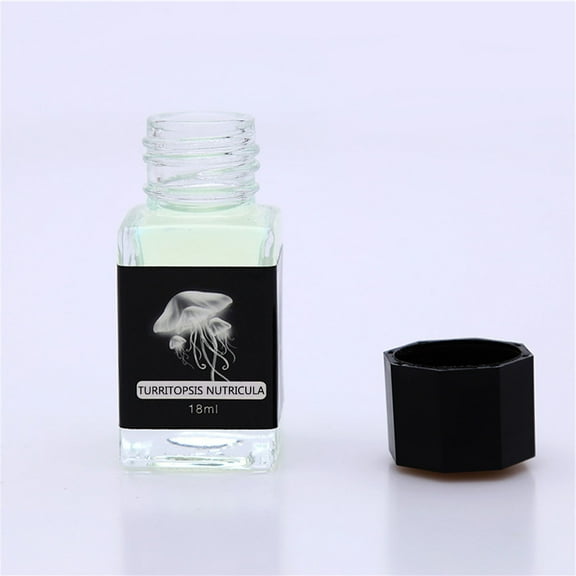 TONKBEEY 18ml Invisible Disappearing Ink Secret Message Write with UV Flashlight for Gift