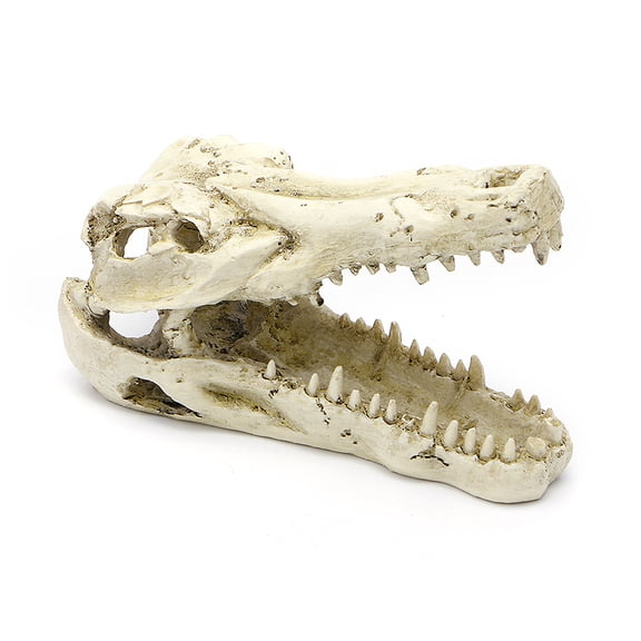 TONKBEEY Aquarium Resin Decoration Alligator Skull Decor Hideouts Betta Cave Fish Tank Accessories for Hermit Crab Guppy